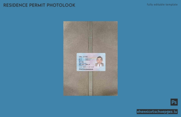 Beispielansicht des Fotos für den chinesischen Daueraufenthaltsausweis
